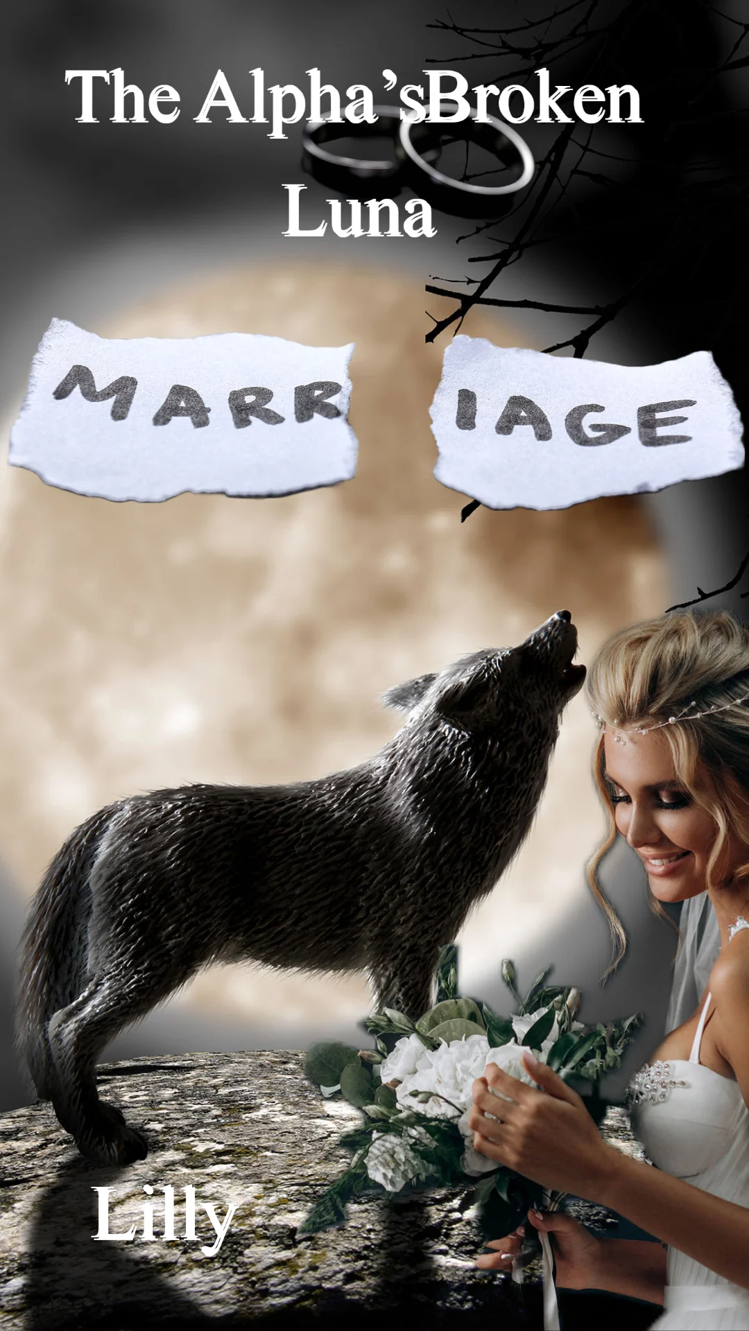 THE ALPHA’S BROKEN LUNA cover