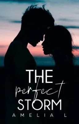 The Perfect Storm cover