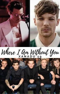 Where I Am Without You [L.S] cover