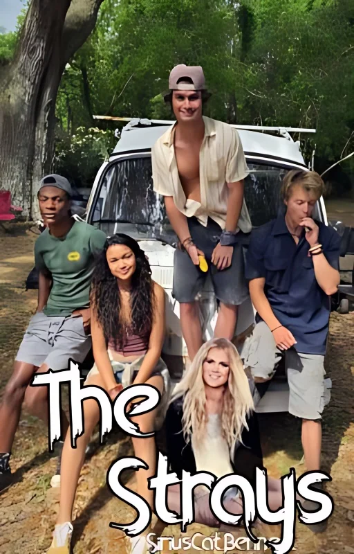 The Strays ⎈John B Routledge⎈ cover