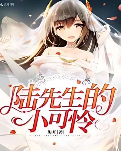 Mr. Lu's Little Pitiful cover