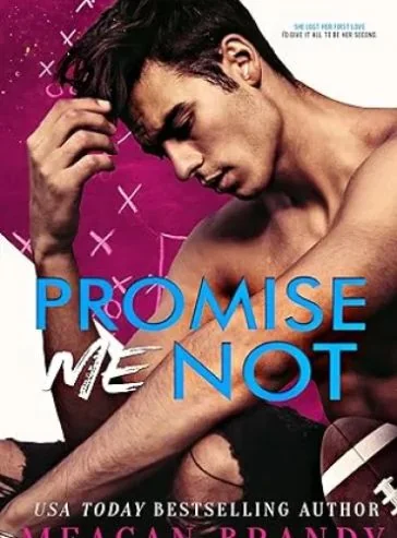 Promise Me Not cover