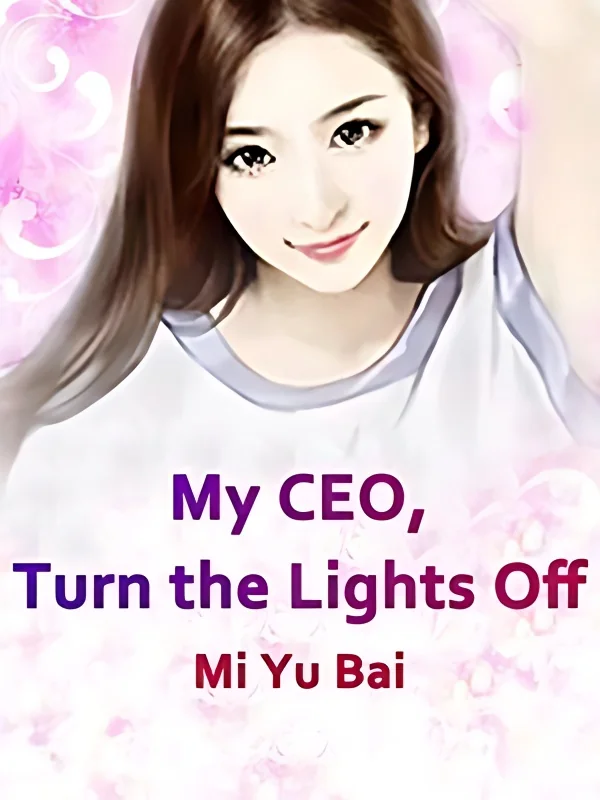 My CEO, Turn the Lights Off cover