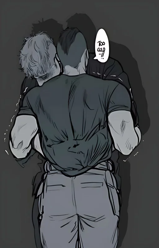 Among The Fallen Stars...{COD} cover