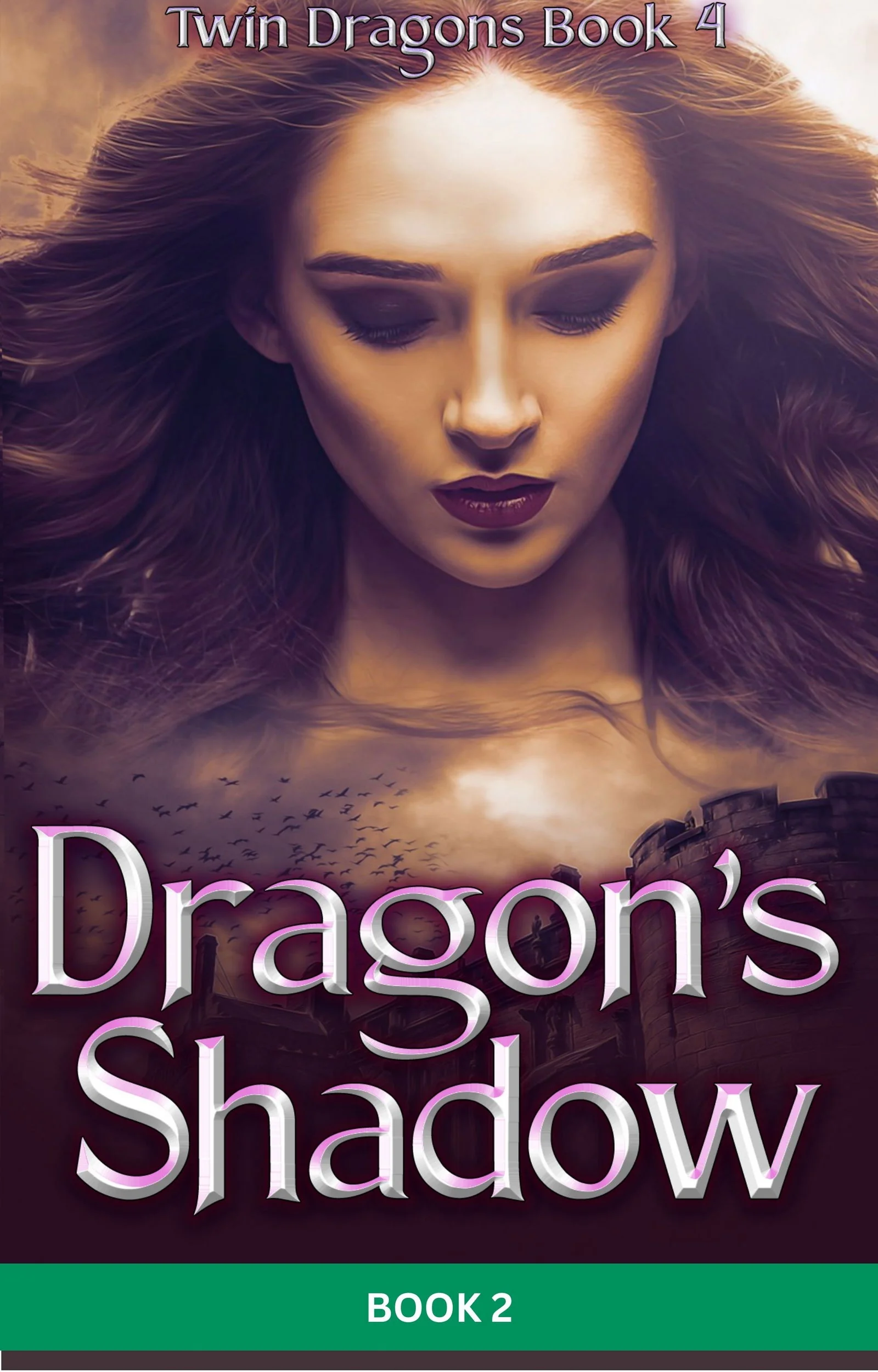 The Twin Dragons Series: Dragon's Shadow Book 2 cover