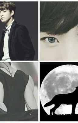 The Strongest Alpha's Mate/J.JK cover