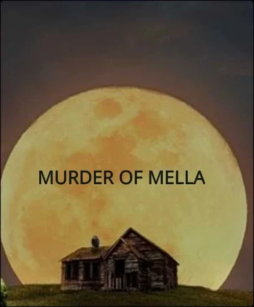 MERE HUMSAFAR ♥️ (Completed) cover