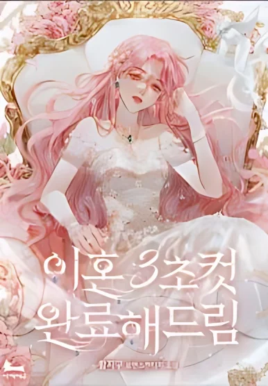 Divorce Will Be Completed in 3 Seconds cover