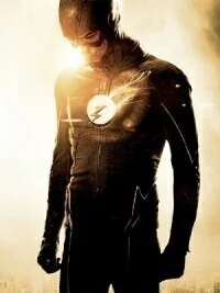 Into The Flash. cover