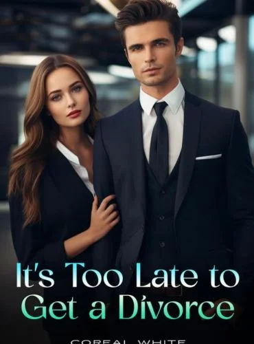 It’s Too Late To Get A Divorce cover