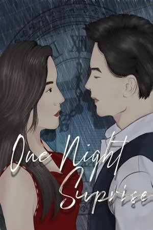 One Night Surprise Novel cover