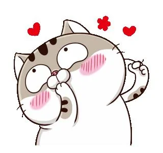 Two-dimensional option system cover