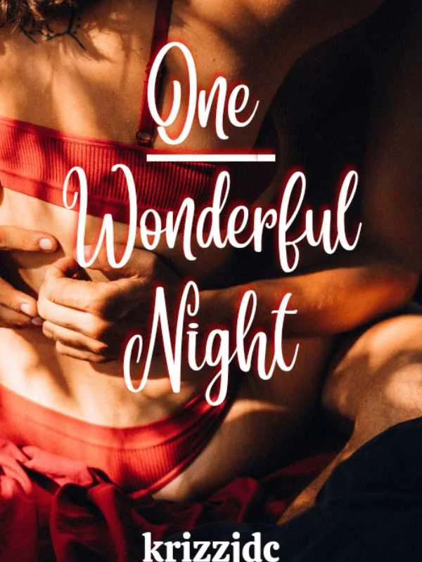 ONE WONDERFUL NIGHT cover