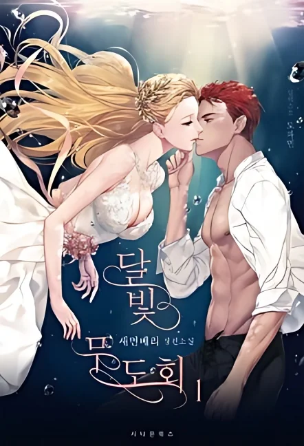 Moonlight Ball cover