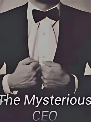 The Mysterious CEO cover