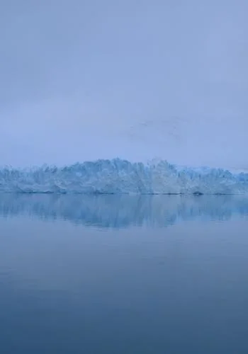 300 Days With The Alpha Beta Triplets cover