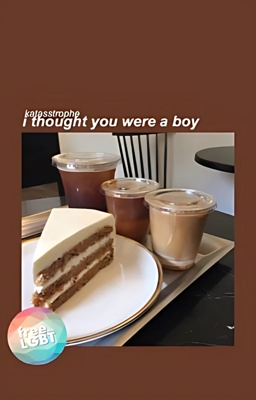i thought you were a boy cover