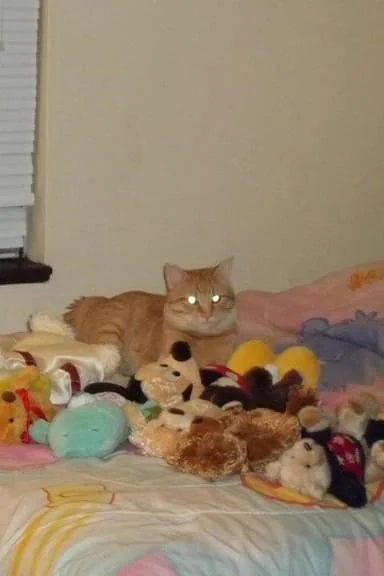 Dawn over the Queendom of Shallarah (complete) cover