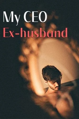 My CEO Ex-husband cover