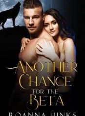 Another Chance for the Beta cover