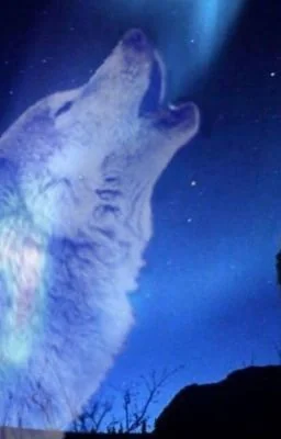 My little mate, aria cover