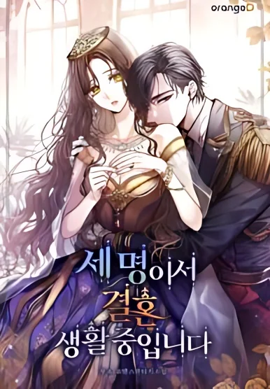 The Three Are Living a Married Life cover