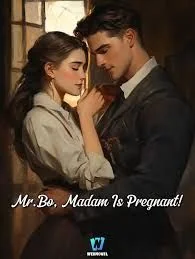 Mr. Bo, Madam Is Pregnant! cover