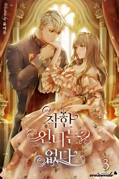 The Kind Older Sister Is No More cover