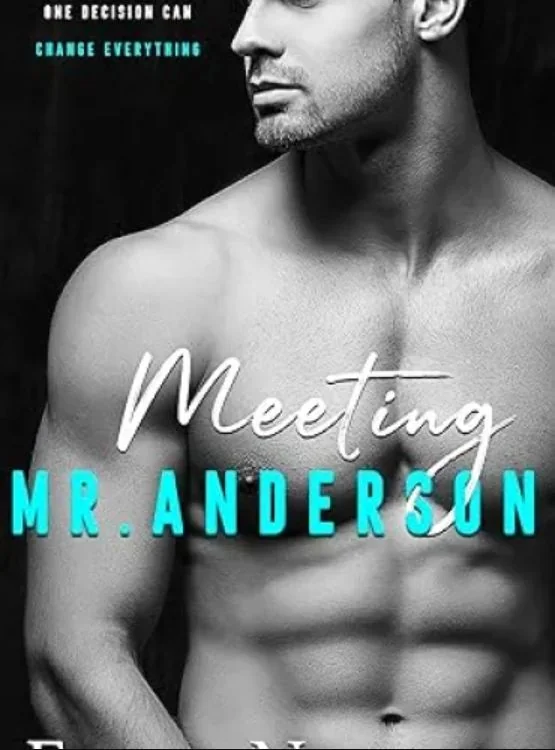 Meeting Mr Anderson (The Men Series – Interconnected Standalone Romances Book 1) cover