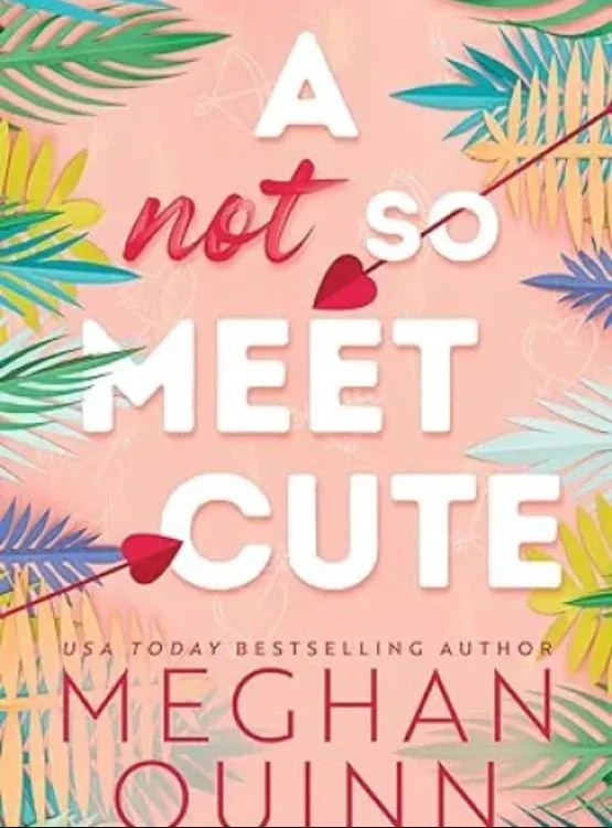 A Not So Meet Cute cover