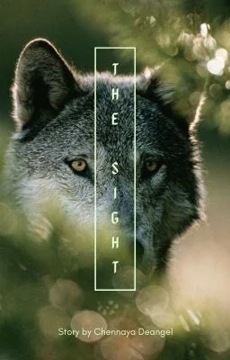 The Sight (bxb) cover