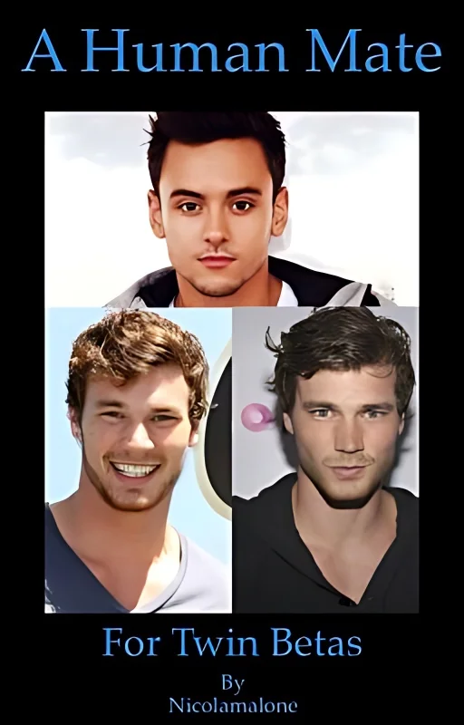A human mate for twin betas - book two of the twins series boyxboy cover