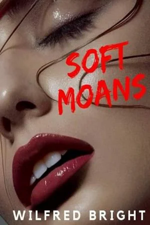 SOFT MOANS cover