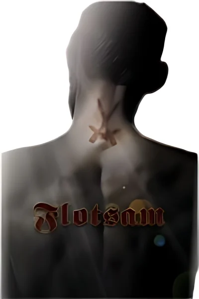 Flotsam cover