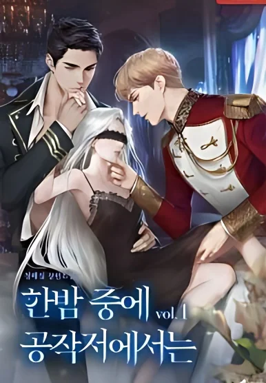 In the Middle of The Night in the Duke's Residence cover