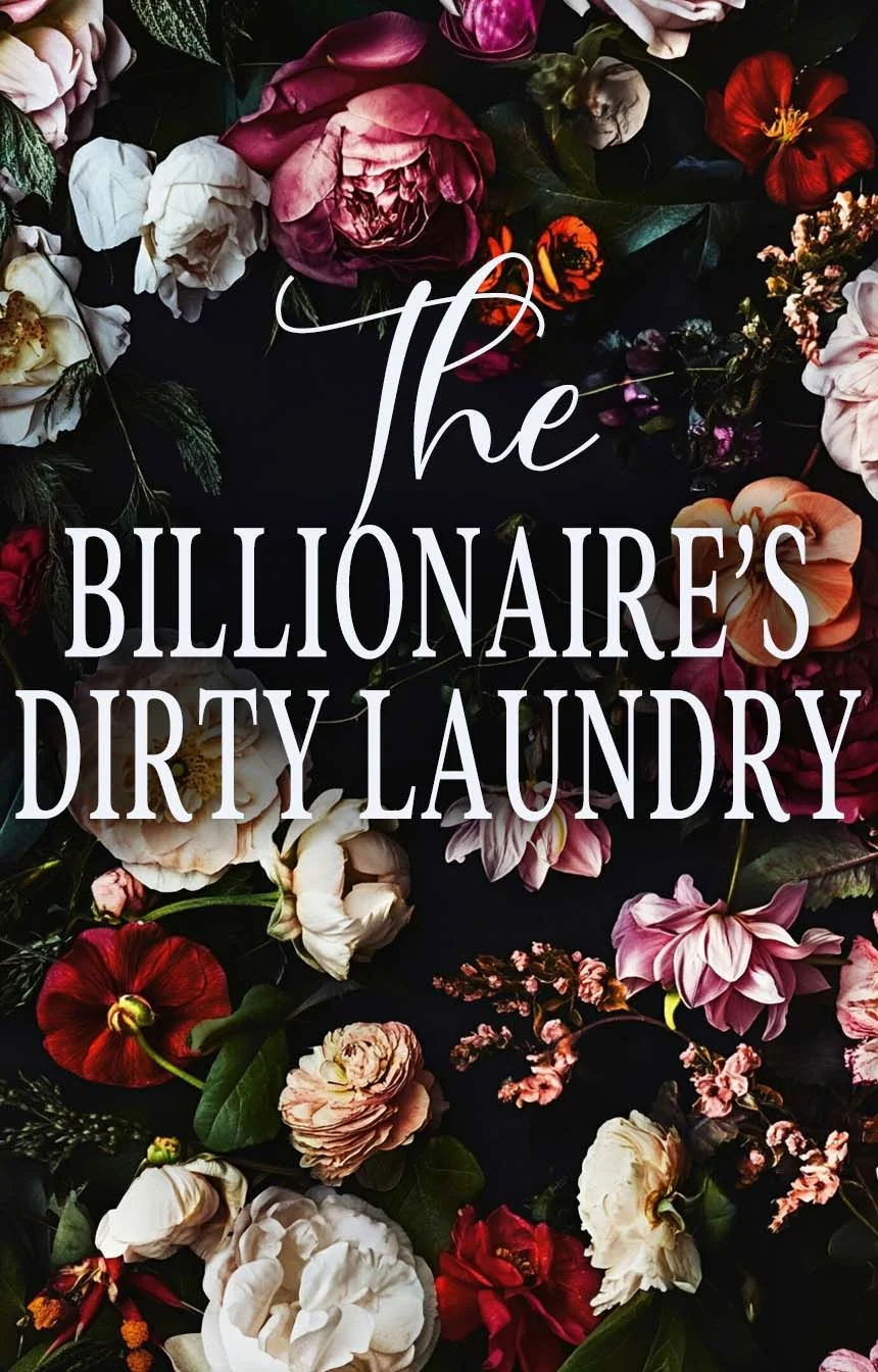The Billionaire's Dirty Laundry cover