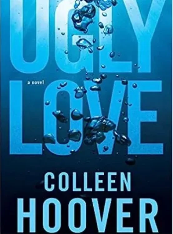 Ugly Love: A Novel cover