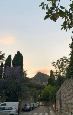 yes to heaven - trevor zegras cover