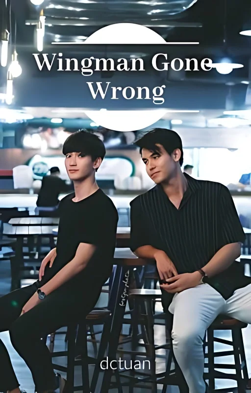Wingman Gone Wrong | LeoFiat cover