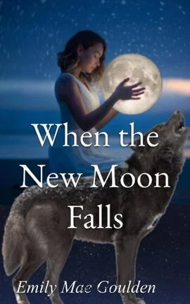 #5 When the New Moon Falls cover