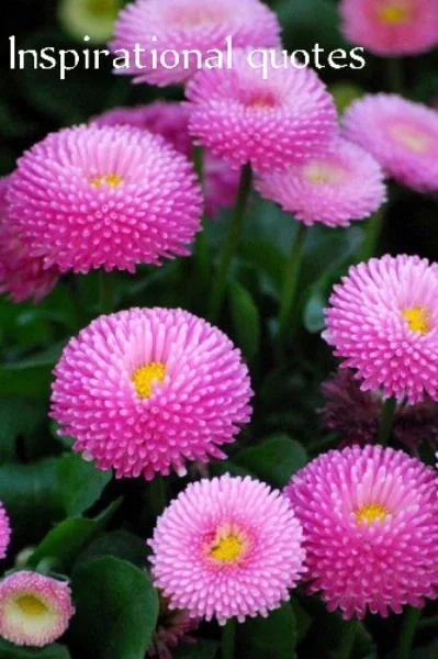 मुक्ति (The end) cover