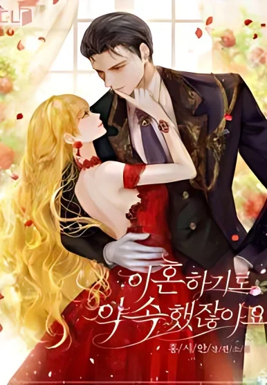 You Promised to Divorce Me cover