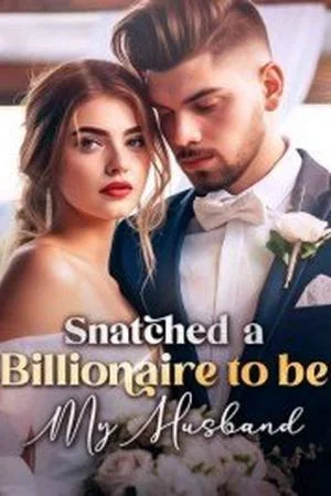 Snatched a Billionaire to be My Husband cover
