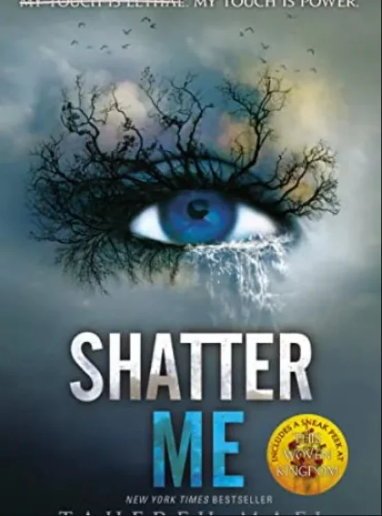 Shatter Me cover