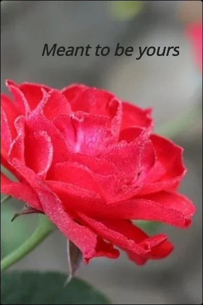 Meant to be yours cover