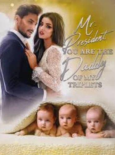 Mr. President You Are The Daddy Of My Triplets cover