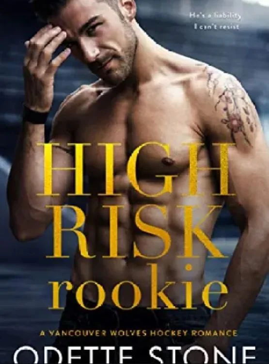 High Risk Rookie (A Vancouver Wolves Hockey Romance Book 4) cover