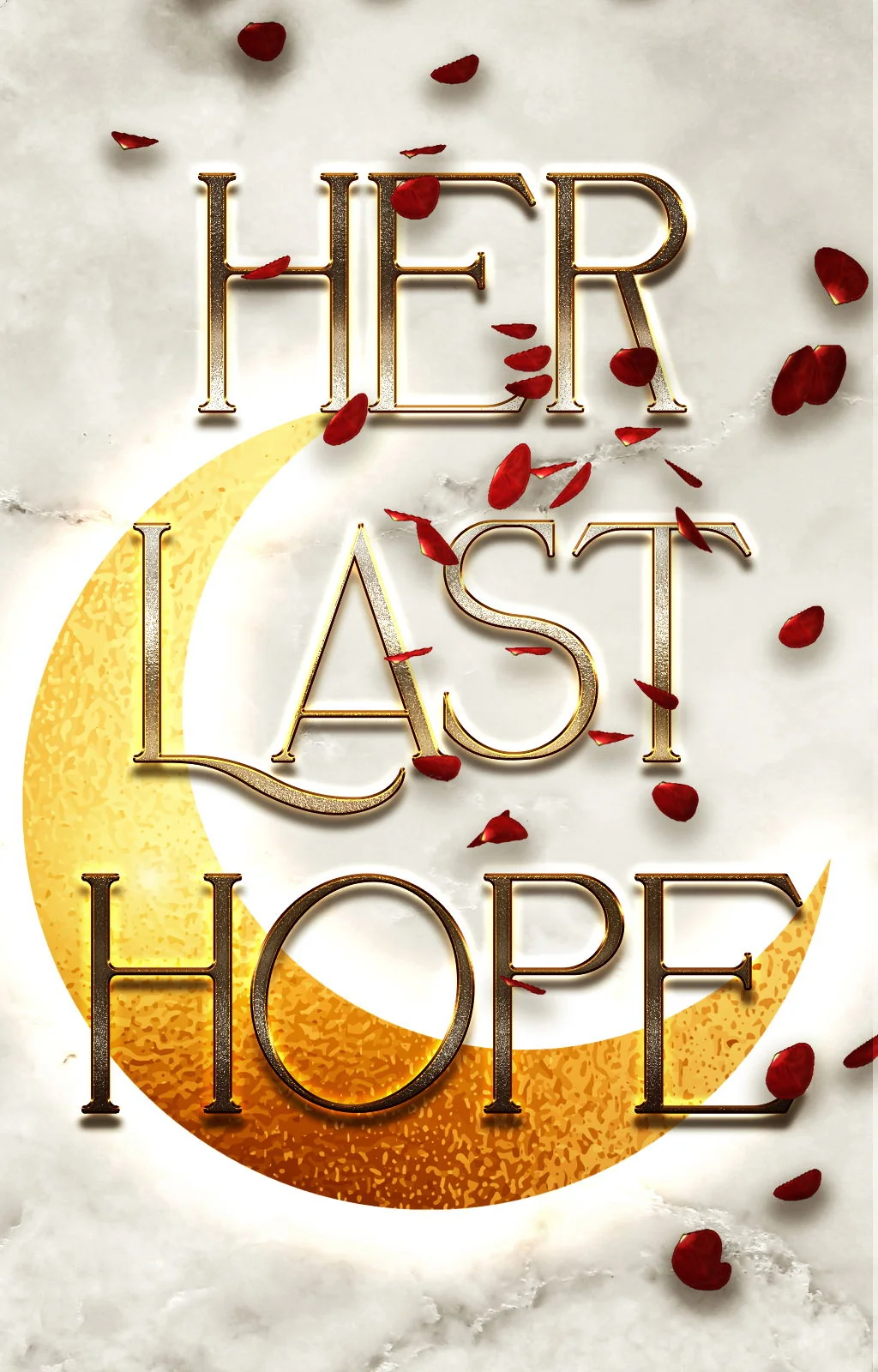 Her Last Hope cover
