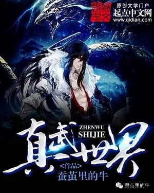 True Martial World cover