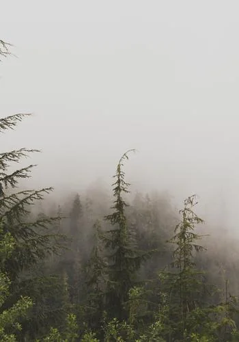 The Savior Boss cover